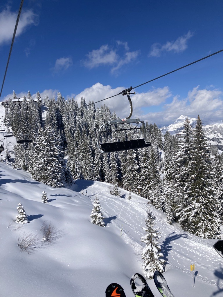 Schneelandschaft mit Ski